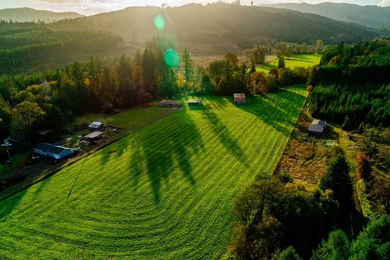 The Willamette Valley is famous for excellent wine. Feel free to reach out to us and we will tell you all about our favorite vineyards and wineries.