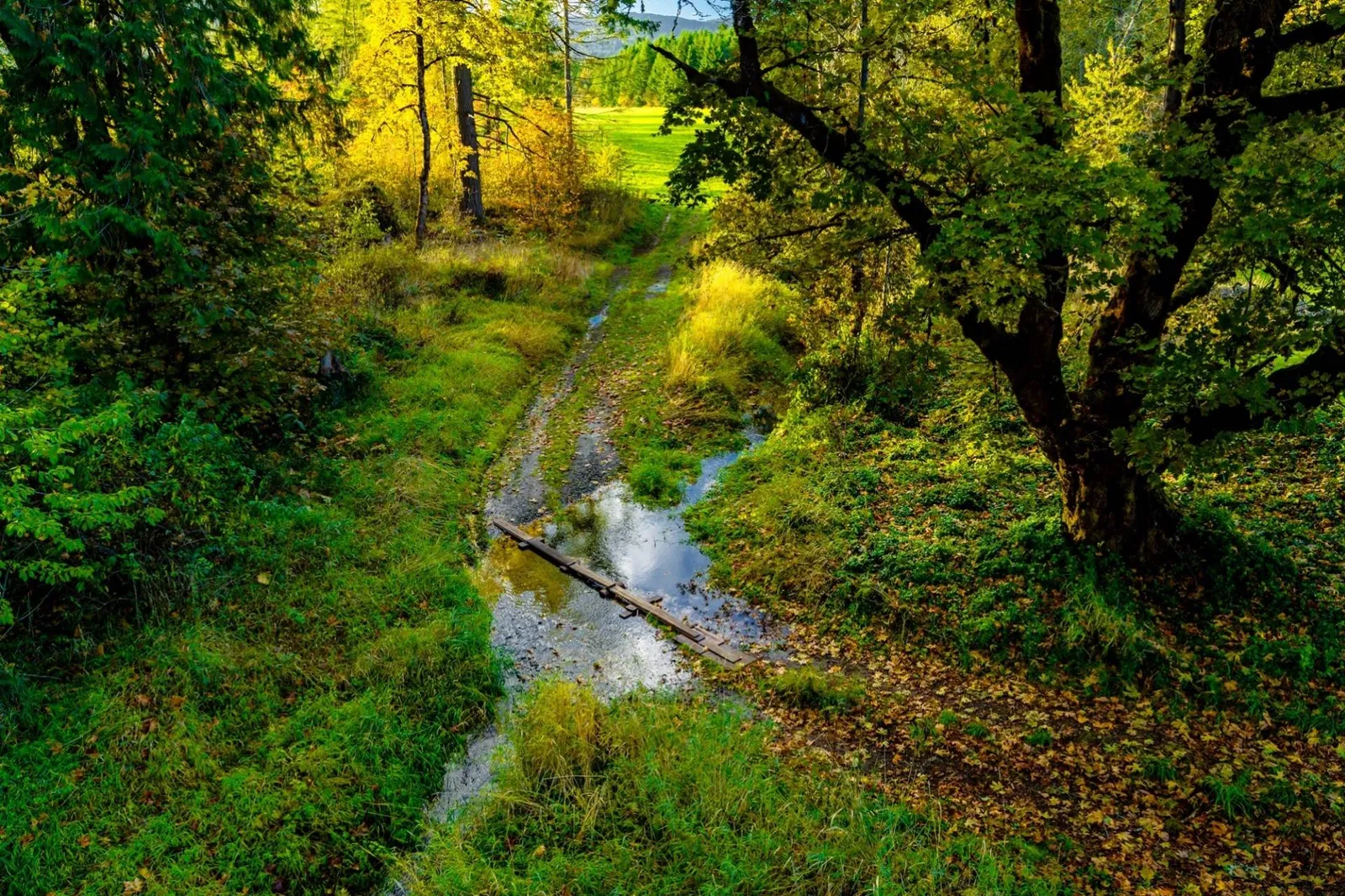 We hope we get to host you at this delightful property. Please reach out to us with any questions. We are happy to answer!