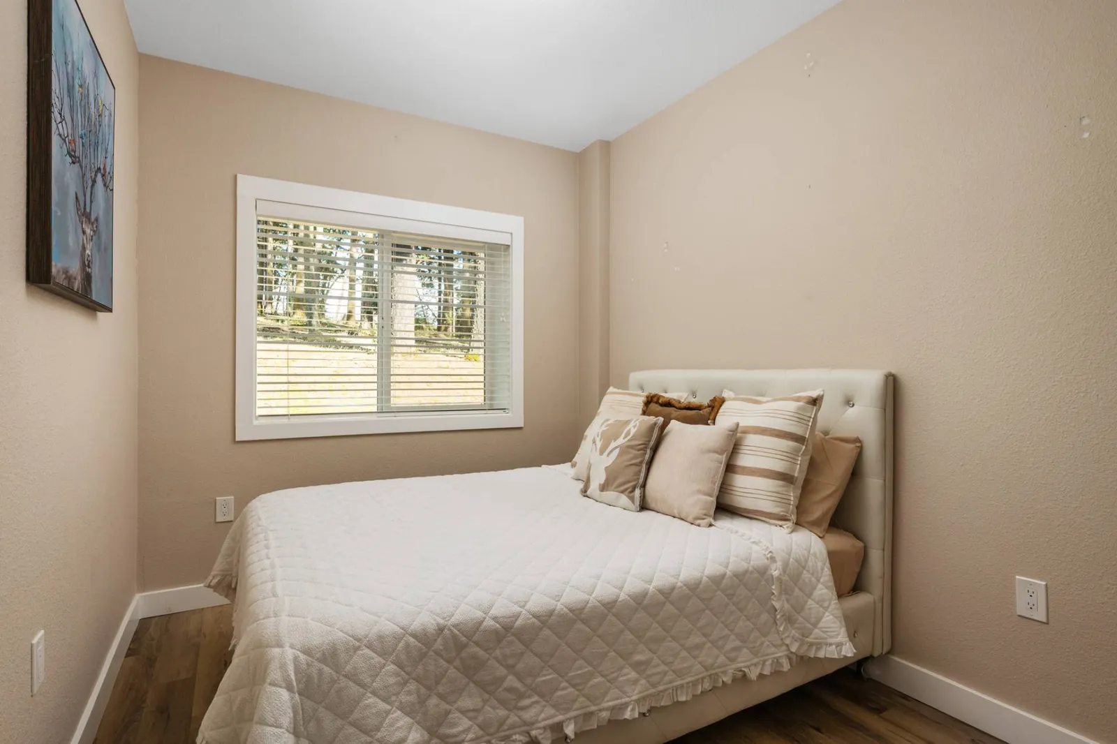 Peaks View Bunk House