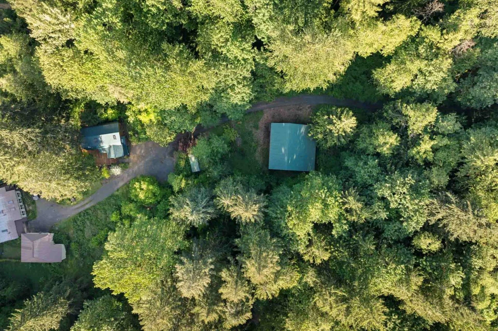 Crystal Creek Cabin