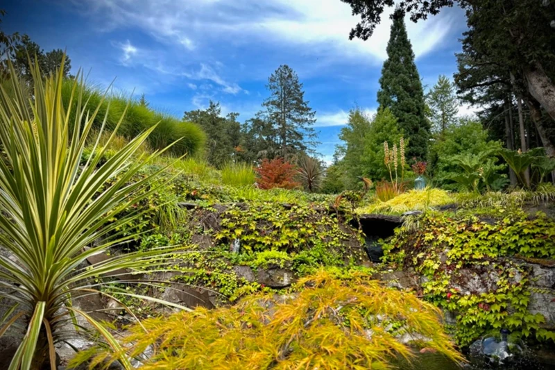 Hoffman Woods Estate