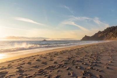 lincoln city beach