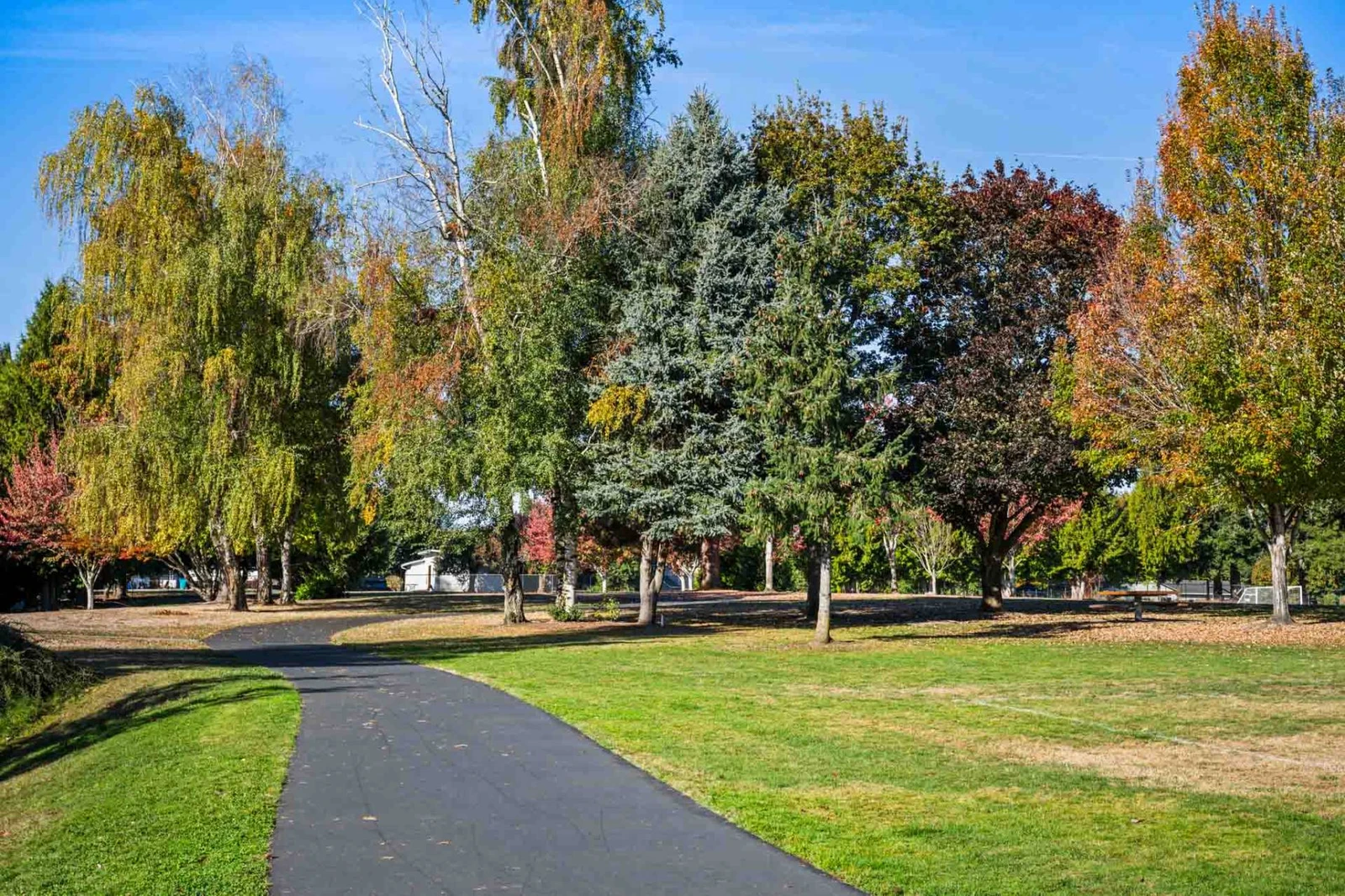 Vancouver Lake Floathouse